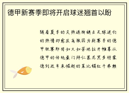 德甲新赛季即将开启球迷翘首以盼